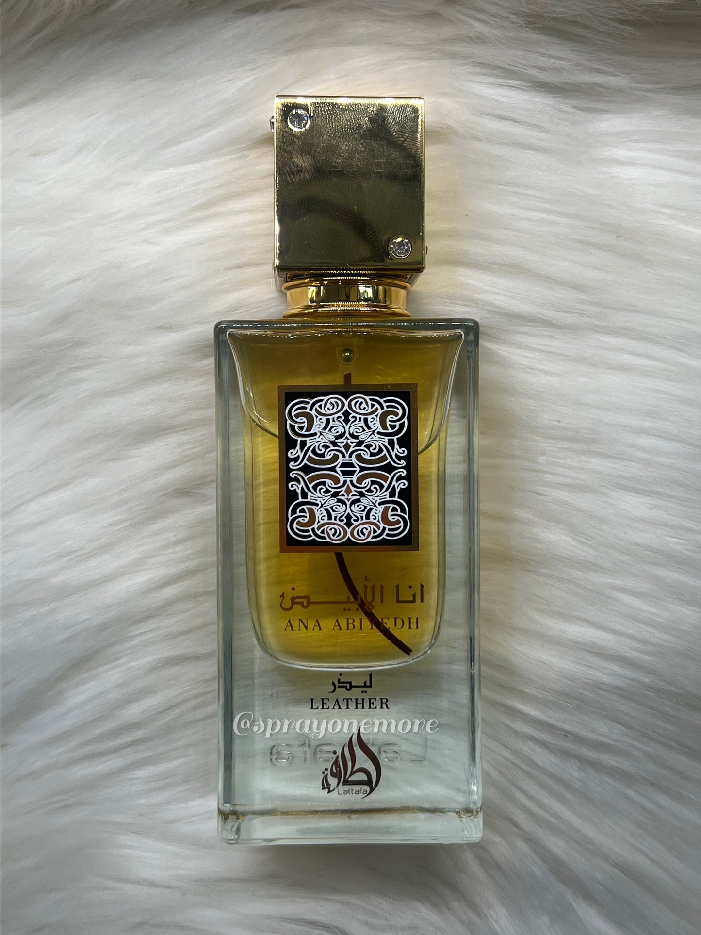 Ana Abiyedh Leather